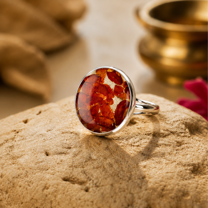 Ashirwad by Sri Guru Raghavendra Swami